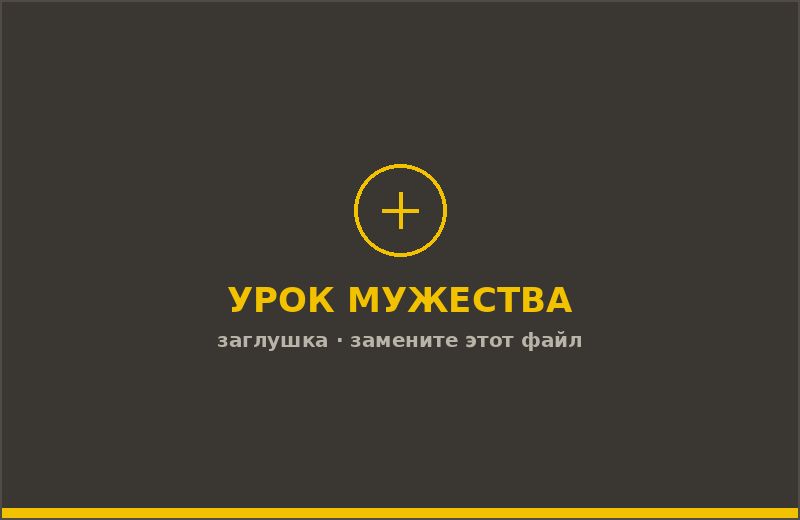 Урок мужества в школе