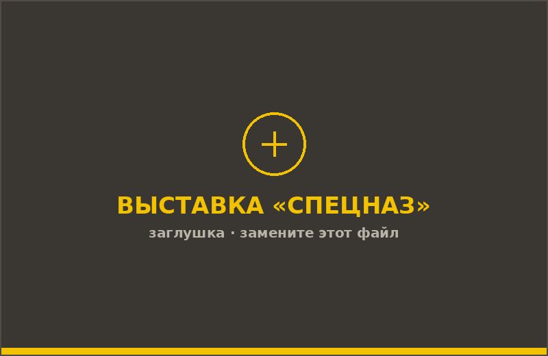 Экспозиция передвижной выставки «Спецназ»